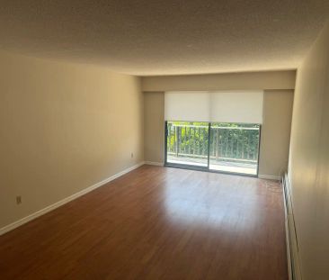 CASA DEL MAR APARTMENTS — 202 - Photo 6