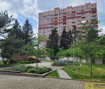 Pronájem bytu 1+kk 24 m² - Photo 2