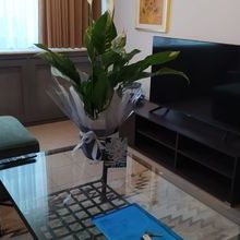 Διαμέρισμα για ενοικίαση - Κέντρο Θεσσαλονίκης, - Photo 1