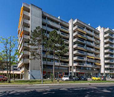 À louer – Bel appartement traversant de 6 pièces à Versoix - Photo 1