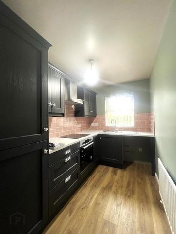 21a Burrenwood Road, Castlewellan, BT31 9DR - Photo 4