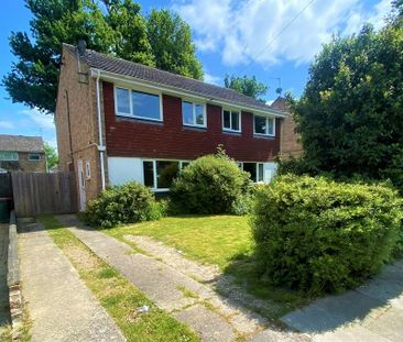 3 bedroom semi-detached house to rent - Photo 3