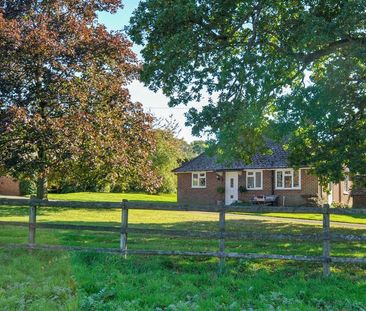 Petworth Road, Haslemere, Surrey, GU27 - Photo 3