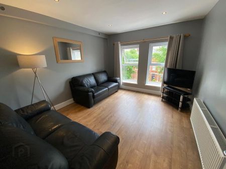 Flat 1, 22 Eglantine Avenue, Off Malone Road, Belfast, BT9 6DX - Photo 3