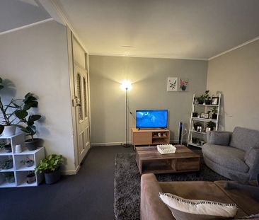 large 3 bedroom sunny apartment in Mt Vic - Photo 2