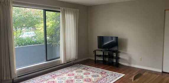 1 Bedroom at 1147 View Street - Photo 2