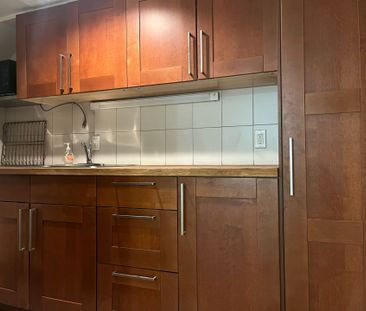 For Lease - 383 Lansdowne Avenue Unit# Bsmt, Toronto, Ontario - Photo 5