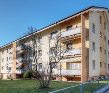 Im Grünen - Foto 3
