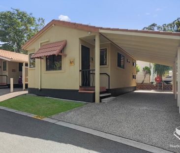 Gold Coast Short Term Rental Accommodation, Cactus Cabana, Min 4 We... - Photo 4