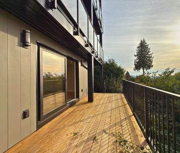 7517 Pandora Drive - Photo 3