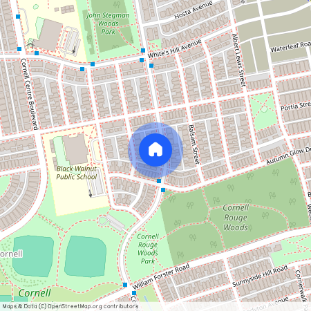 676 Cornell Rouge Boulevard Unit# Rear C…, Markham