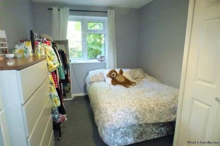 1 bedroom property to rent in Exeter - Photo 4