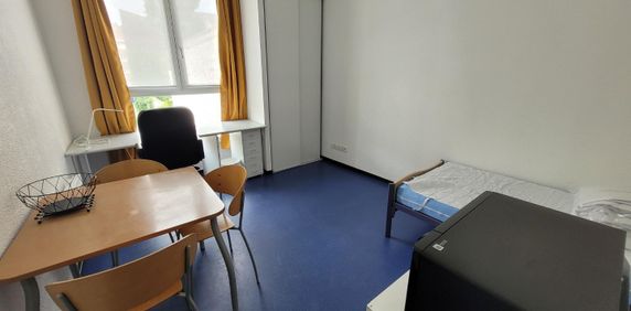 Location Appartement 1 pièce 19m² LILLE 59000 - Photo 2