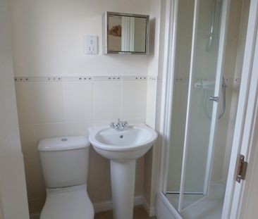 Water Meadow Way, Downham Market - Photo 5