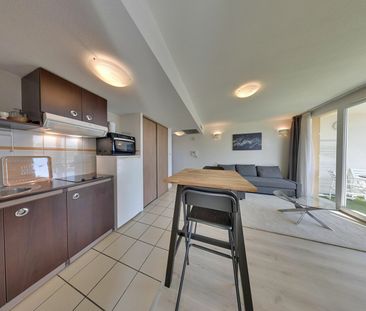 Est de PAU, Haut d'IDRON Appartement récent 2 p Meublé avec Terrass... - Photo 3