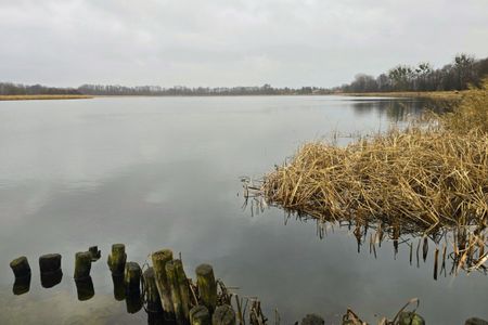 Wygodne mieszkanie, garaż, ogród, blisko jeziora - Zdjęcie 2