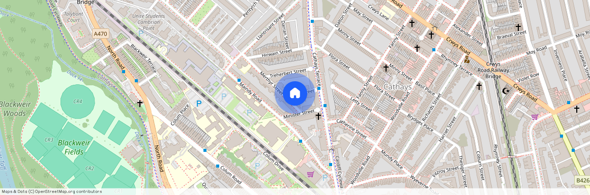 Treorky Street, CF24 4JP, Cathays