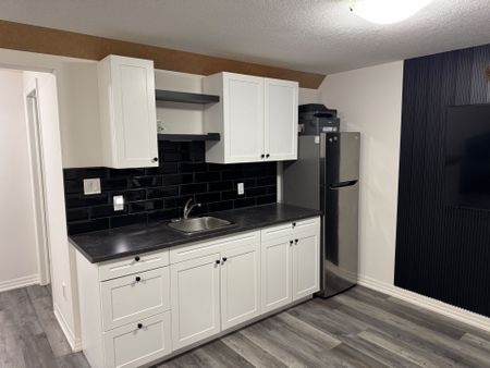 For Lease - 41 Cortland Terrace Unit# LOWER, St. Thomas, Ontario - Photo 4