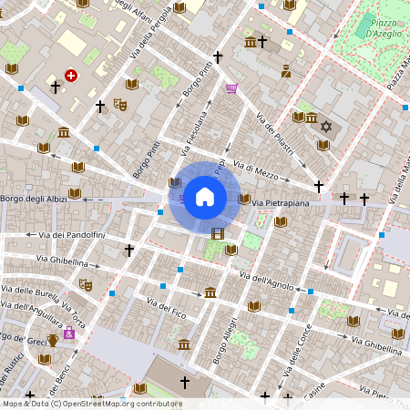 Via Pietrapiana, Florence, Tuscany 50121