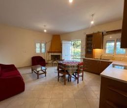 Μονοκατοικία για ενοικίαση - Ωρωπός, - Photo 2