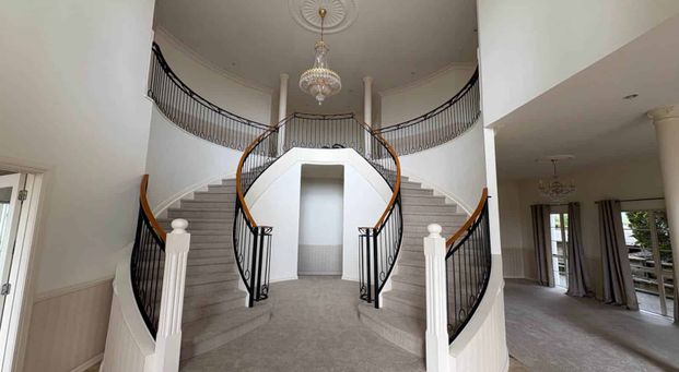 Unparalleled Space, Views, and Elite School Zo... - Photo 1