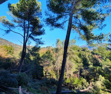 Location Appartement 3 pièces 65m² CARROS 06510 - Photo 3