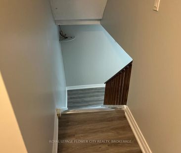 For Lease - 12 Lorne Court Unit# Basement, Brampton, Ontario - Photo 3