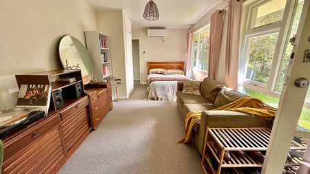 This beauty is such a cutie - Photo 2