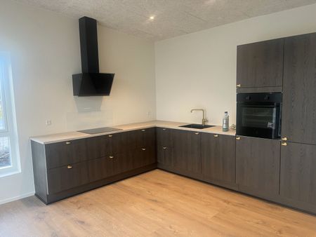 Moderne rækkehus til leje i Mejrup - Foto 5