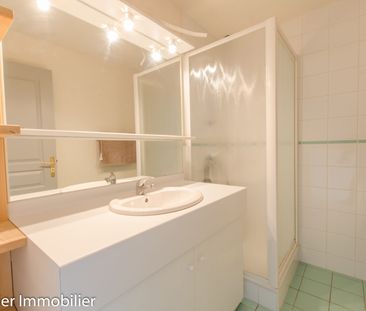 Location Appartement 3 pièces 53m² ST MARCELLIN 38160 - Photo 4