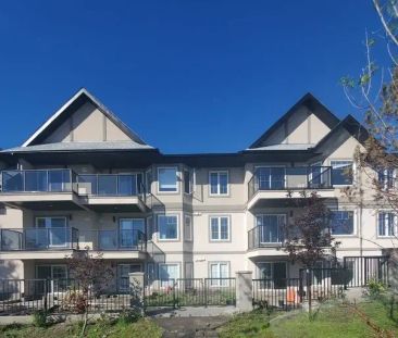 Bright and Spacious unit available for rent | Calgary - Photo 1