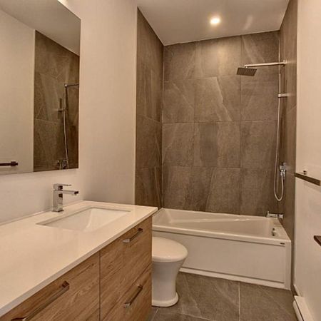 2 chambres 2 sdb à louer Lasalle coté parc/canal + 1100 P.C - Photo 4