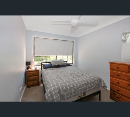 Blue Vale Road, Gunnedah, NSW 2380 - Photo 5