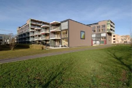 6.5 Zimmer, 143 m², 1. Stock - Foto 5