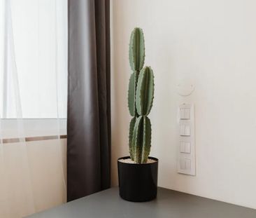 Rua do Pico, Porto, Braga 4200-486 - Photo 4