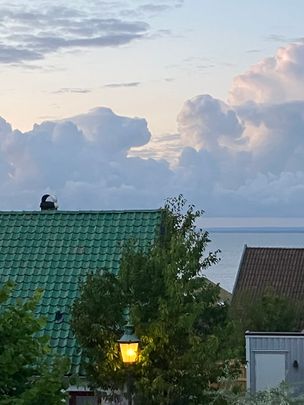 Köpmansgatan, Båstad - Foto 1