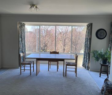 Hobart CBD - Photo 6