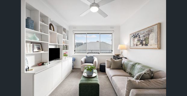 Light-Filled Living in the Heart of Balaclava - Photo 1