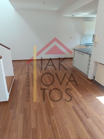 Μονοκατοικία 220 τ.μ. προς ενοικίαση - Photo 2