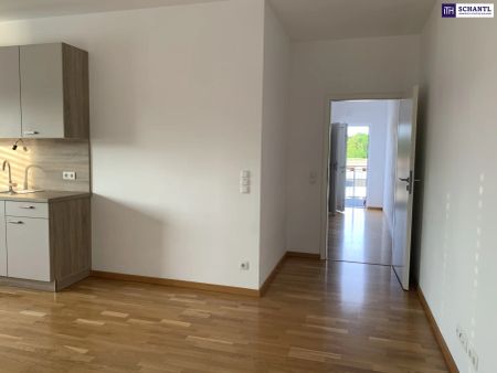 SONNENGLÜCK TRIFFT WOHNGEFÜHL – ein Zuhause, das umarmt! Lassen Sie sich diese wunderschöne Gelegenheit nicht entgehen! JETZT BESICHTIGUNG VEREINBAREN! - Foto 3