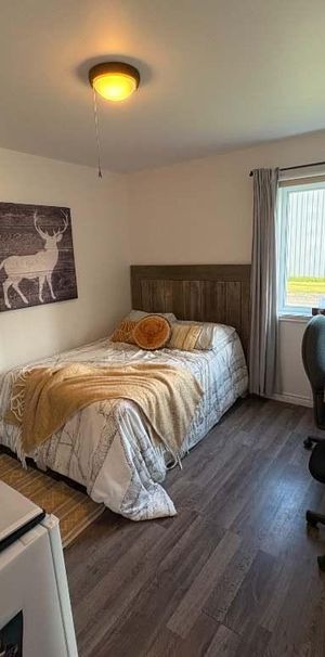 Logement à louer 4 1/2 - Photo 1