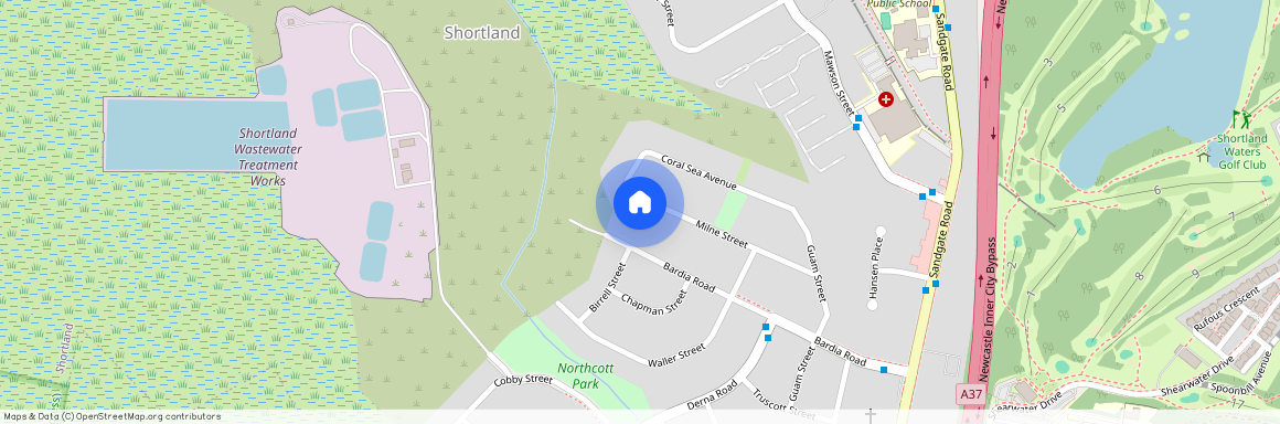 41A Milne Street, NSW 2307, Shortland