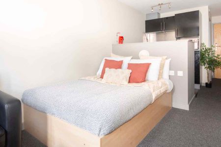 Classic Studio - Photo 5