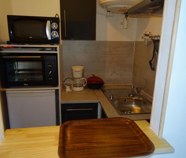 Location Appartement 1 pièce 22m² ORLEANS 45000 - Photo 3