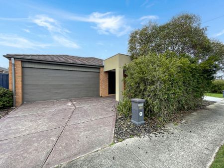 113 Edwards Street, Sebastopol - Photo 2