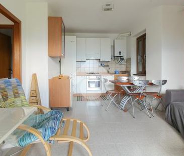 Trilocale in affitto - Photo 2