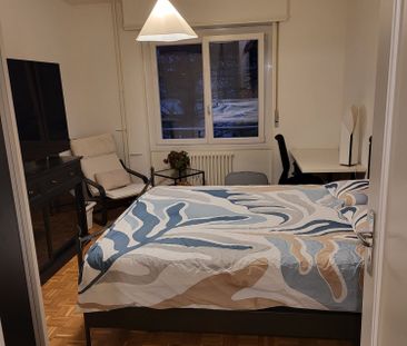 60 m² - Photo 3
