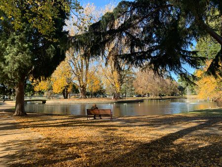 2/20 Payne Street, Caulfield North VIC 3161 - Apartment For Rent | Domain - Photo 5