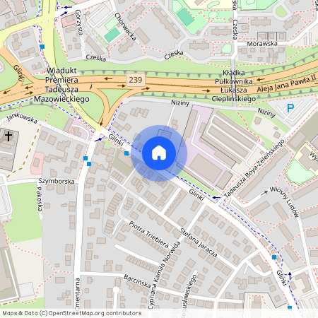 Glinki 17, Bydgoszcz, Glinki-Rupienica