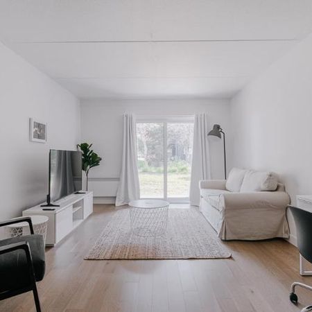 Appartement 4 ½ à louer Sainte-Foy / Sillery juillet 2026 - Photo 4